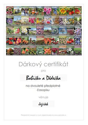 Náhled dárkového certifikátu