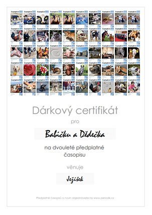 Náhled dárkového certifikátu